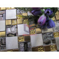 Gold Color Modern Design Stainless Steel Mix Glass Mosaic (CFM1014)